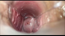 Orgasmo Vaginal