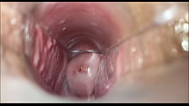 Orgasmo Vaginal